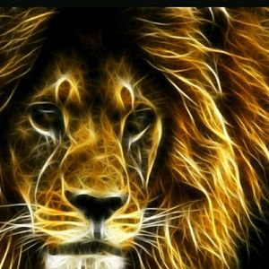 Meet your Posher, Ameer